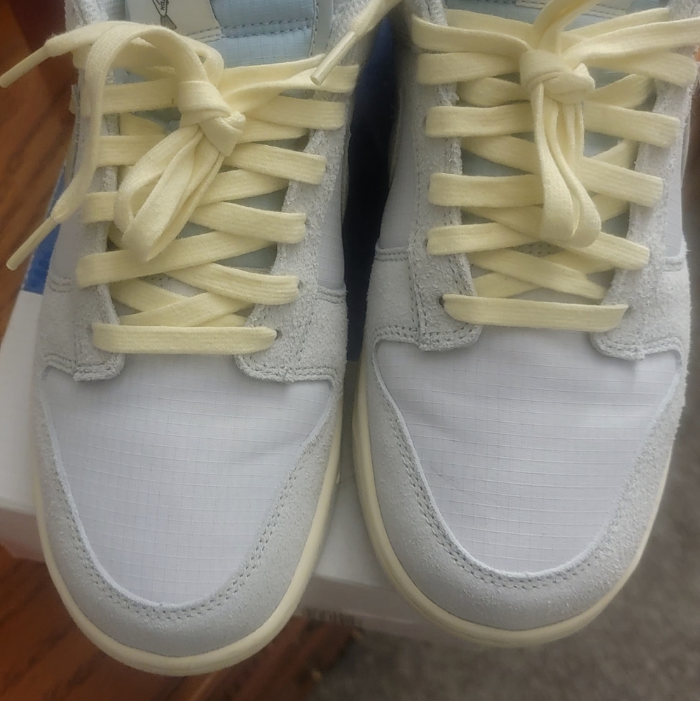 Used Nike Dunk low SE Gone fishing Chinook Salmon